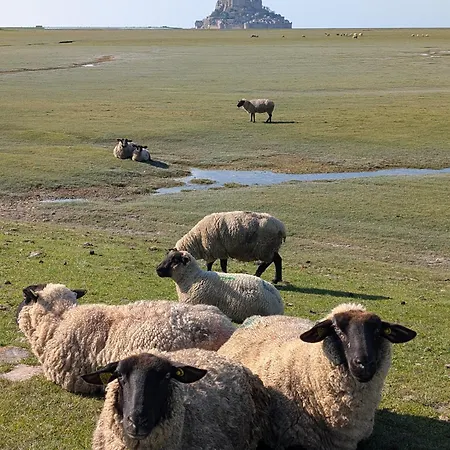 A L Ombre Du Mont Saint Michel Bed and Breakfast *