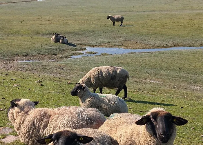 A L'ombre Du Mont Saint Michel - Bed & Breakfast, D'hotes Bed & Breakfast 3*